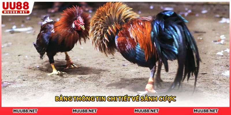 Bảng thông tin chi tiết về sảnh cược